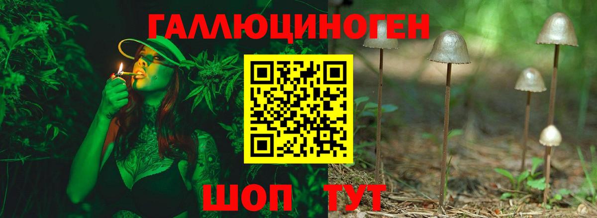 Галлюциногенные грибы MAGIC MUSHROOMS Новосибирск