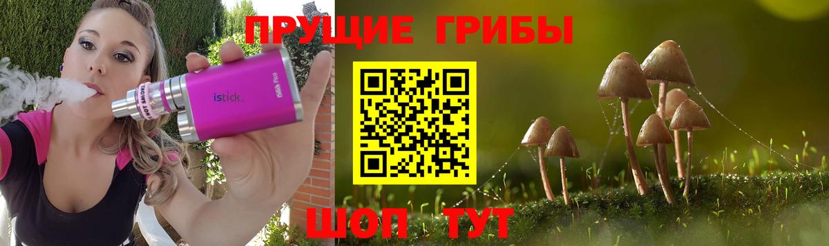 Галлюциногенные грибы ЛСД  Вход с VPN  Новосибирск 